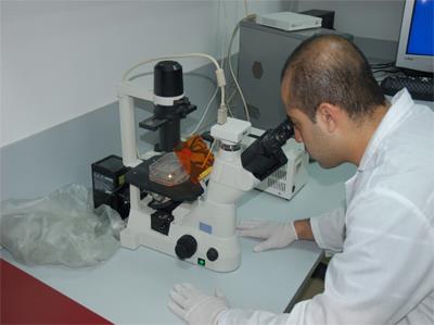 Mr Basheer Abo Farkh, in the laboratory